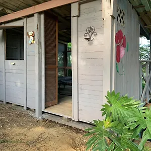 mi-casa-eco-camping.top-hotels-puertorico.com/